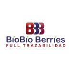 BIOBIO BERRIES