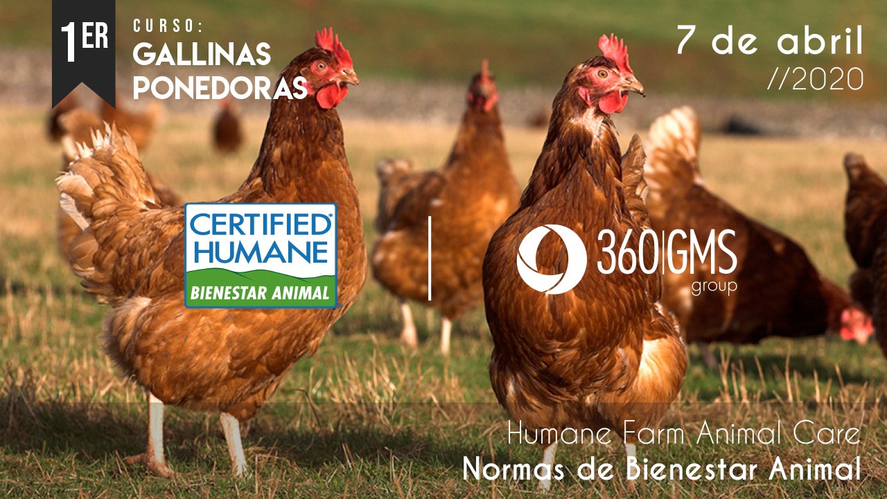 Normas de Bienestar Animal / Curso Gallinas Ponedoras