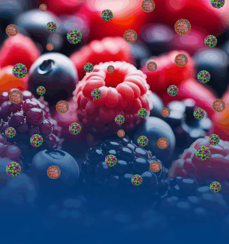 Proteger el negocio de exportación de berries en América Latina es un buen negocio