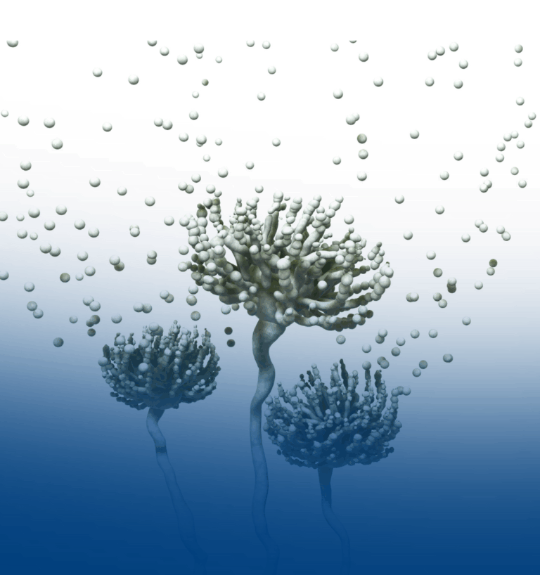 Micotoxinas: un desafío silencioso para la salud pública y la industria alimentaria