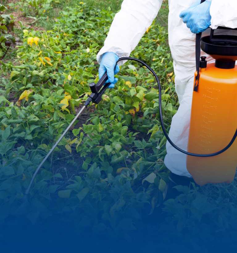 Gestión de plaguicidas: un pilar estratégico para la competitividad agroexportadora