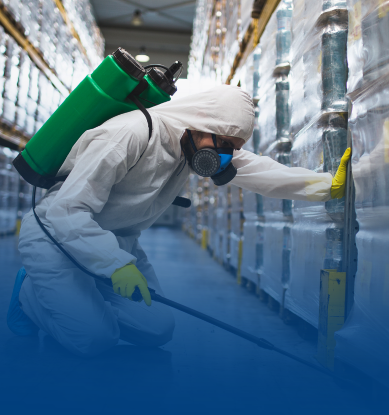 Control de plagas en la industria alimentaria: un factor estratégico de seguridad alimentaria