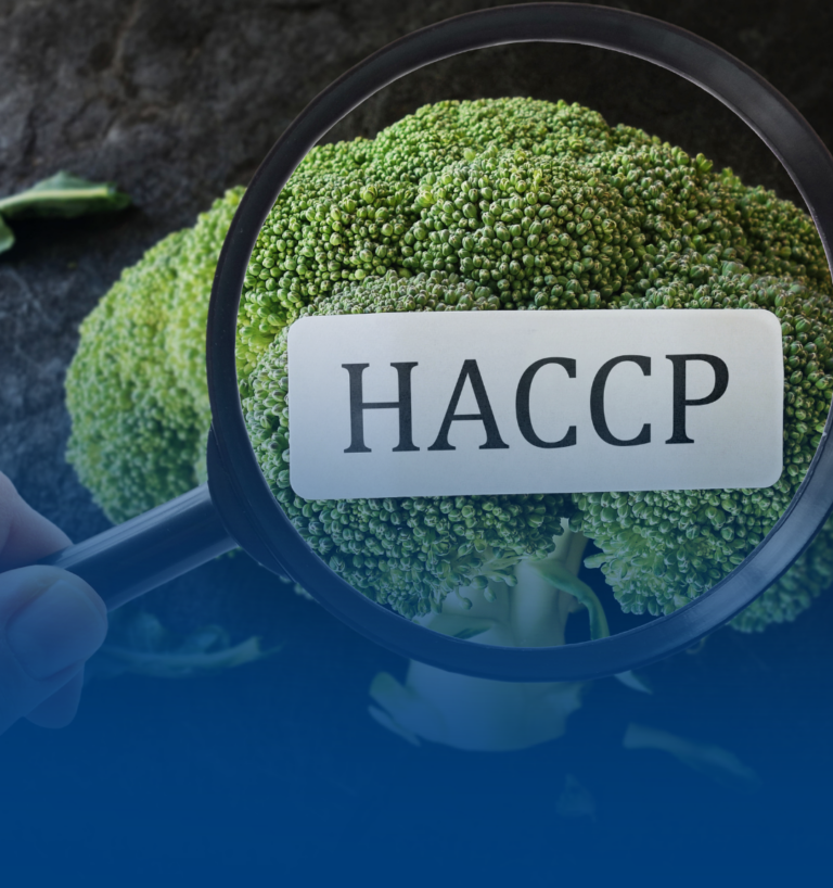 Actualización del Plan HACCP: una decisión estratégica para la inocuidad alimentaria