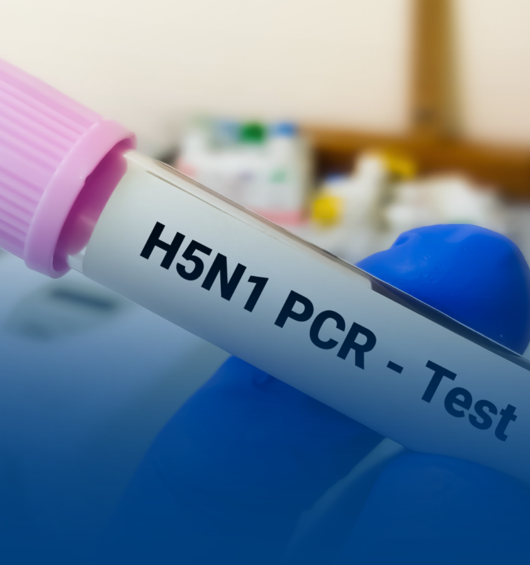 Bioseguridad avícola y bienestar animal: estrategias clave frente a la Influenza Aviar (IAAP)