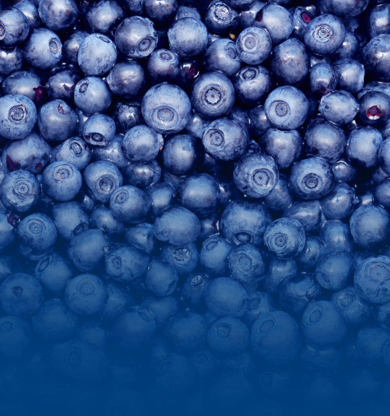 Listeria en la industria de alimentos: el riesgo silencioso que puede afectar toda la cadena alimentaria